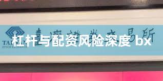 杠杆与配资风险深度 bx