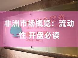 非洲市场概览：流动性 开盘必读