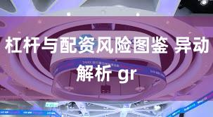 杠杆与配资风险图鉴 异动解析 gr