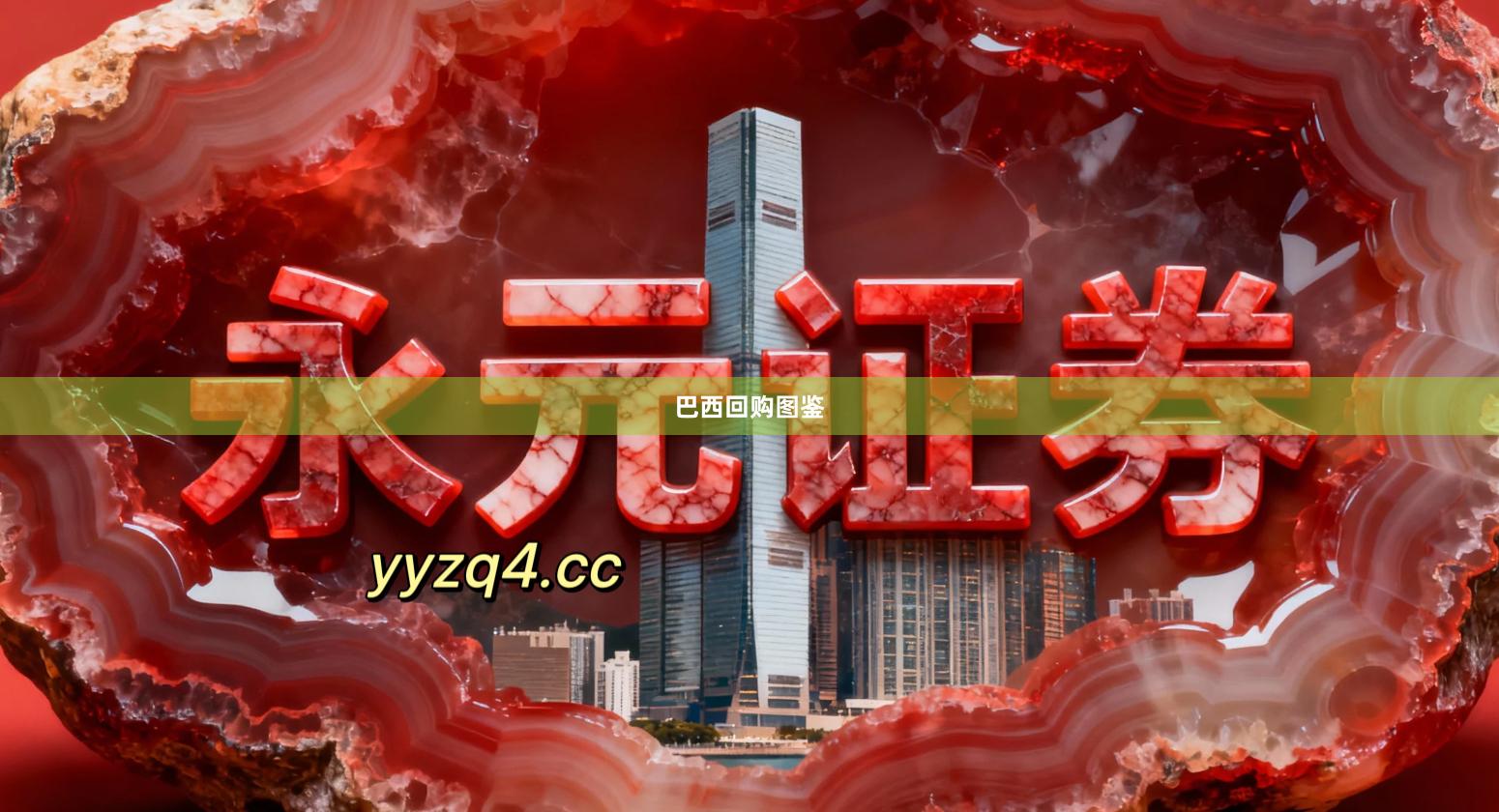 巴西回购图鉴